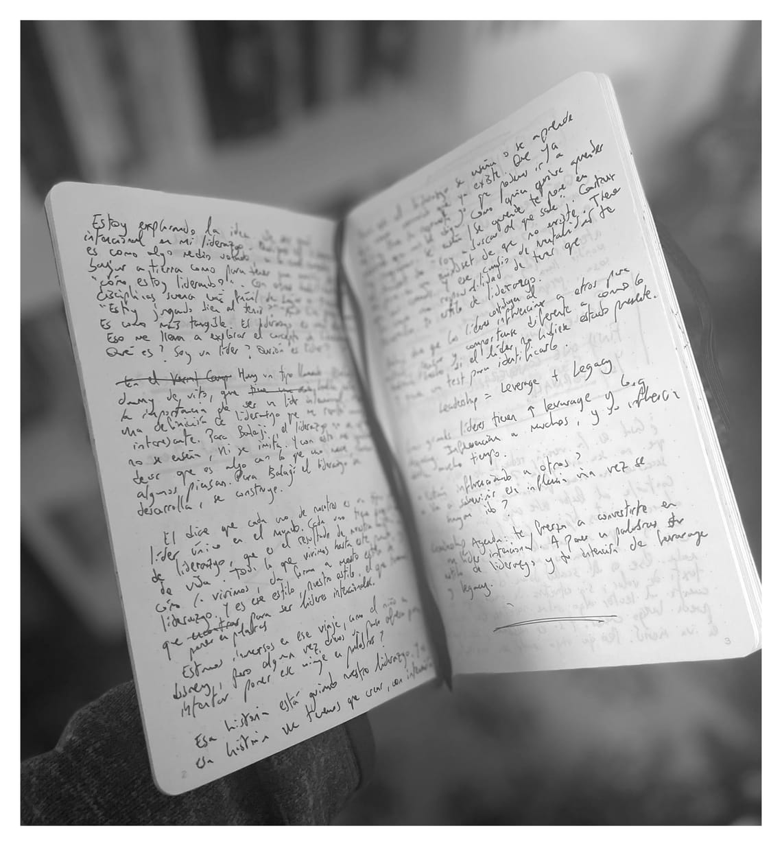 Journal